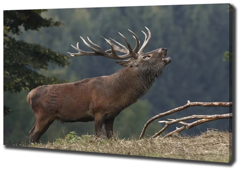 Tablou pe pânză Deer pe deal