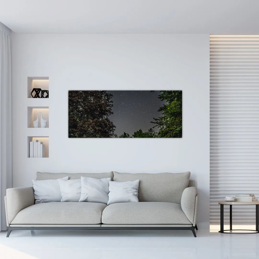 Tablou cu cerul nocturn (120x50 cm)