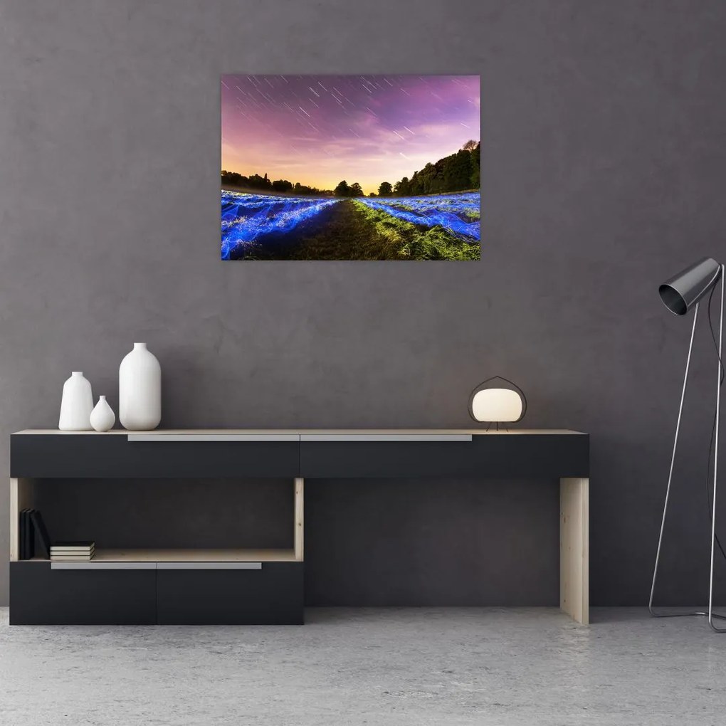 Tablou cu câmp colorat (70x50 cm)