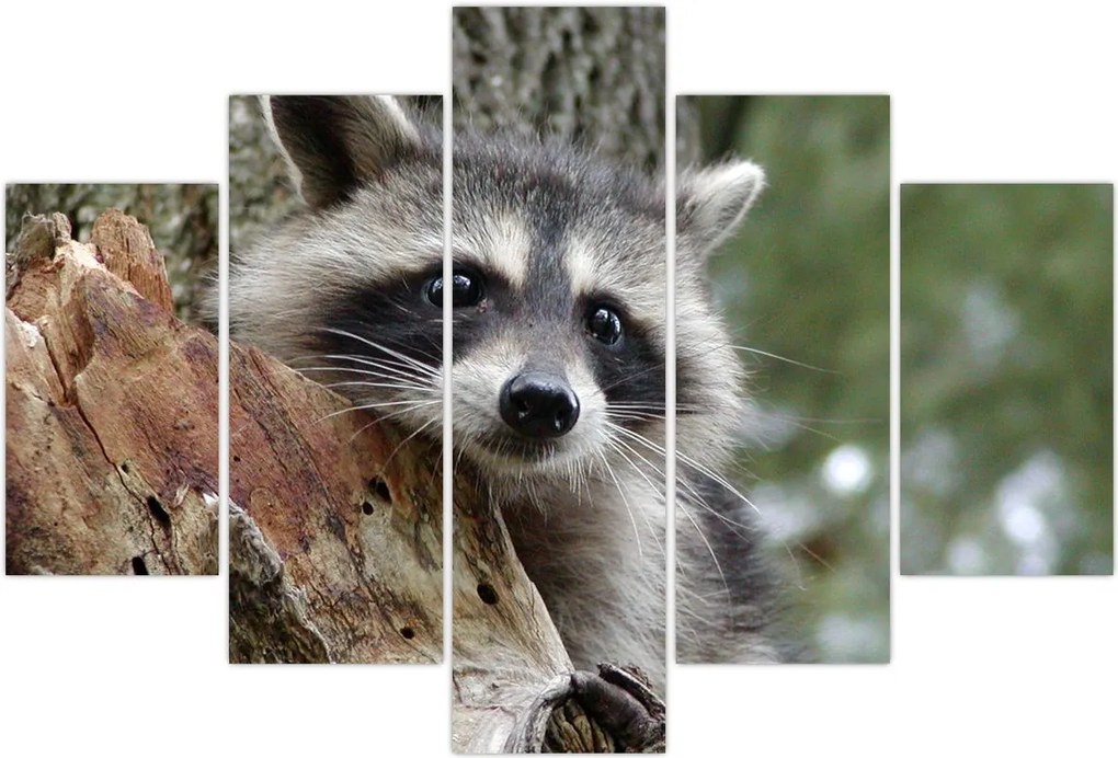 Tablou - Raton (150x105 cm)