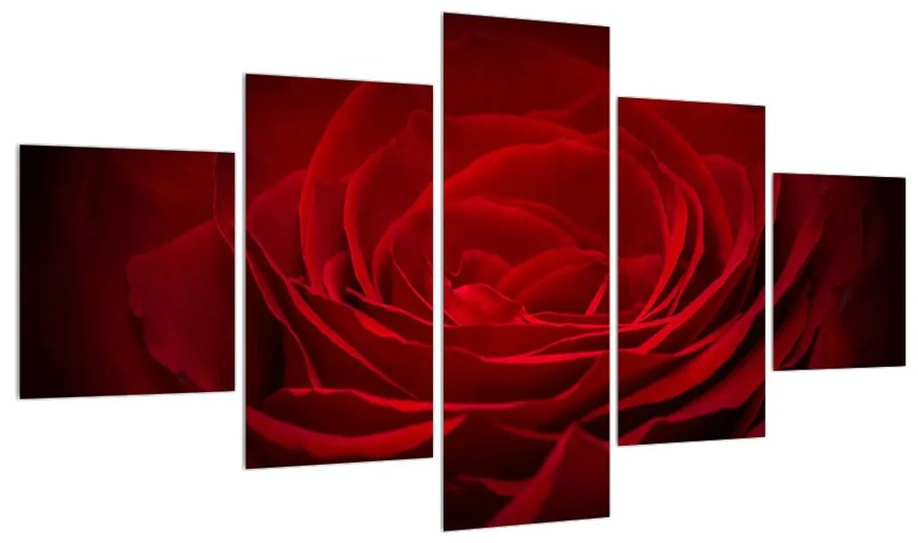 Tablou cu trandafir roșu (125x70 cm), în 40 de alte dimensiuni noi