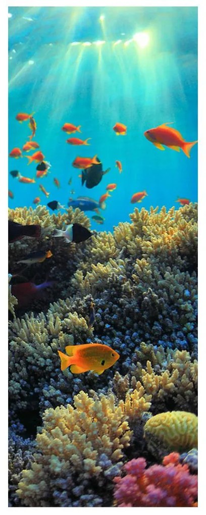 Fotojaluzele R012161R57150 (57x150 cm)