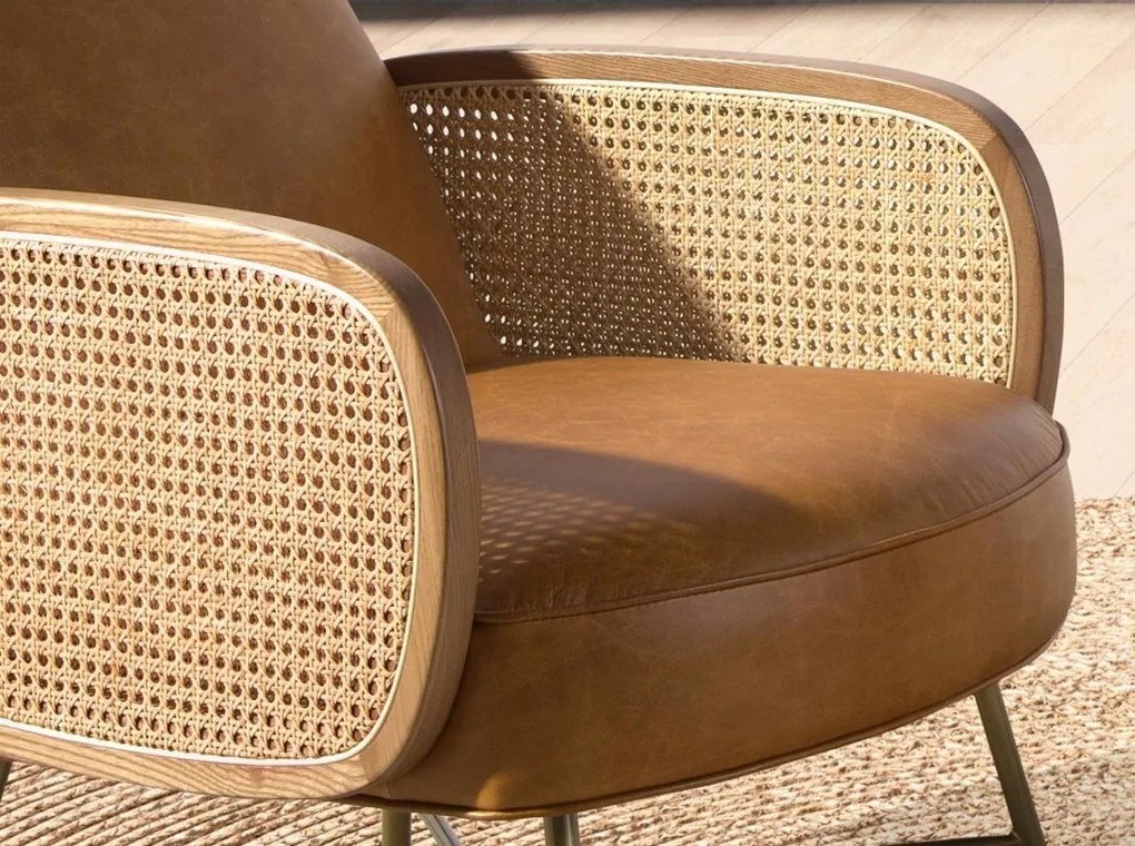 Fotoliu design LUX, Ratan, Piele Naturala 5162