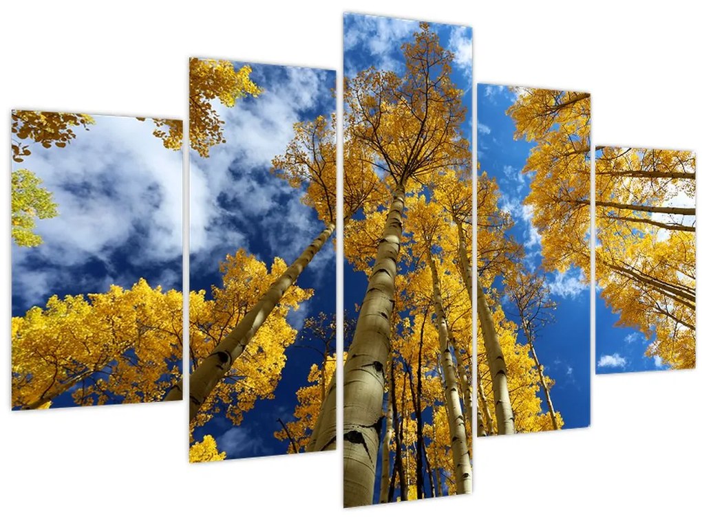 Tablou - Aspen (150x105 cm)