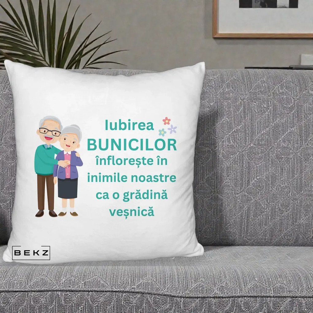 Cadou pentru Bunici - Perna Personalizata Bunicii Iubirea Infloreste Cuplu Senior Teal, 40x40 cm, Alb Pufos, Husa Detasabila, Perna Inclusa, BEKZ®