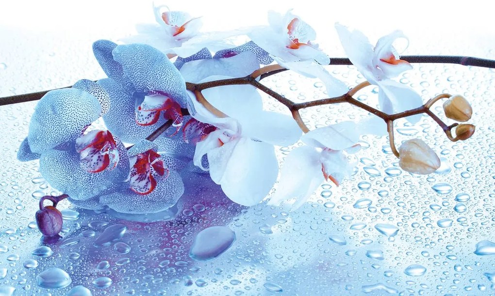 Fototapet - Arta florală - abstract (152,5x104 cm)