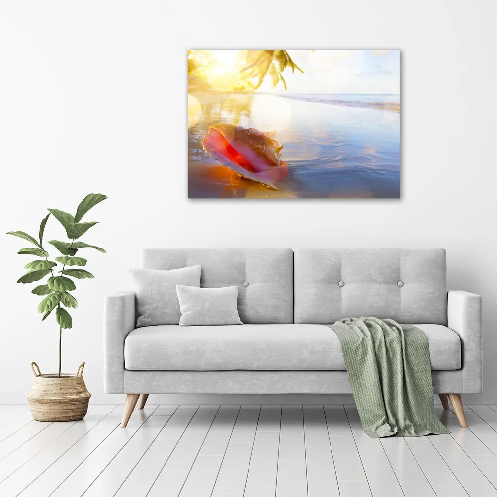 Print pe canvas Seashell pe plaja