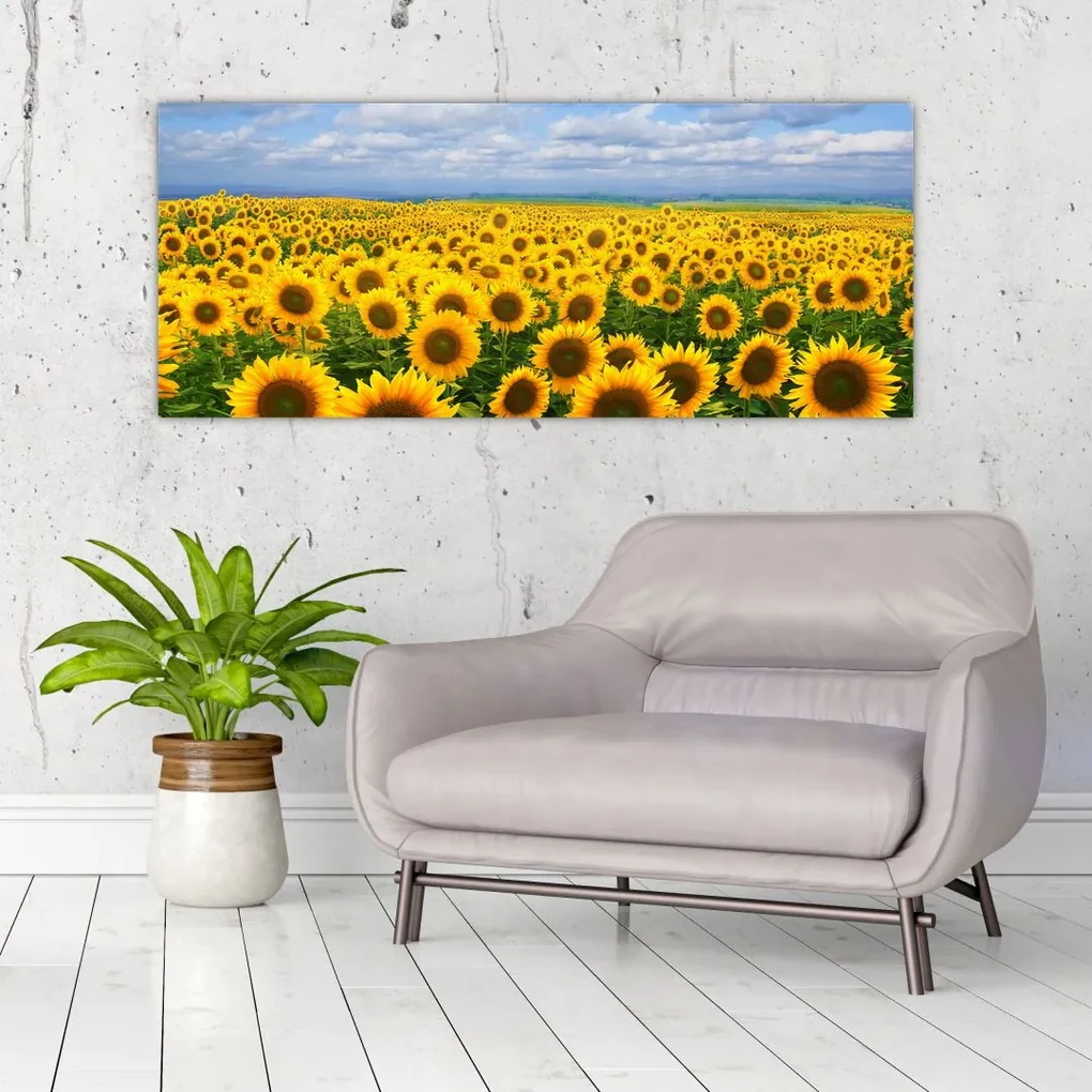 Tablou cu lan de floarea soarelui (120x50 cm)