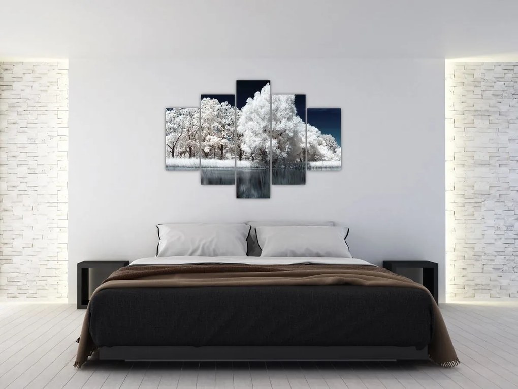 Tablou - Albă ca Zăpada Albă ca Zăpada Copaci (150x105 cm)