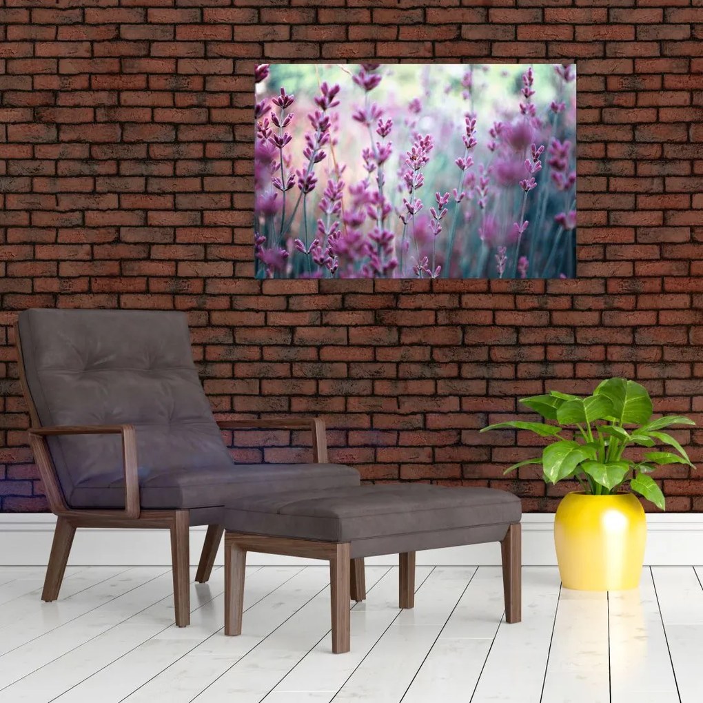 Tablou - Lavandă (90x60 cm)