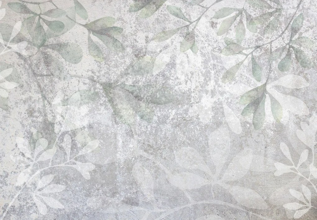 Fototapet - Frunze pe perete (147x102 cm)