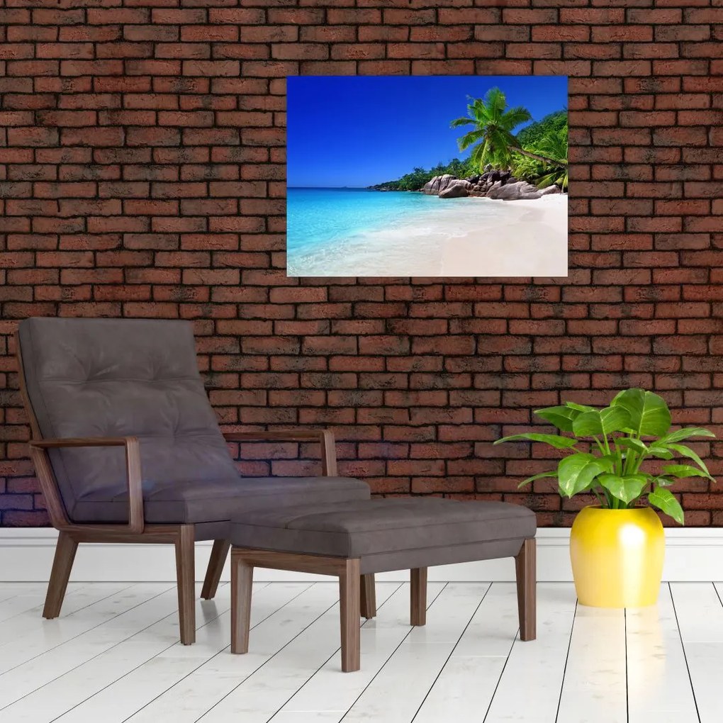 Tablou cu plaja pe insula Praslin (70x50 cm)