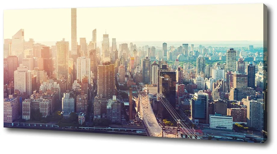 Imprimare tablou canvas New york pasăre de zbor