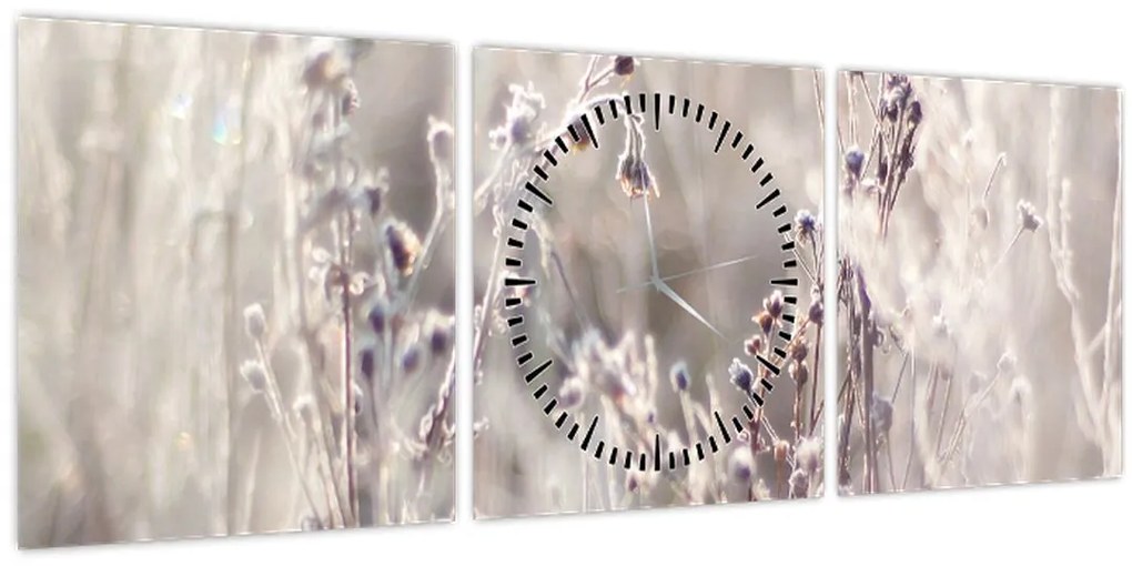 Tablou - Plante (cu ceas) (90x30 cm)