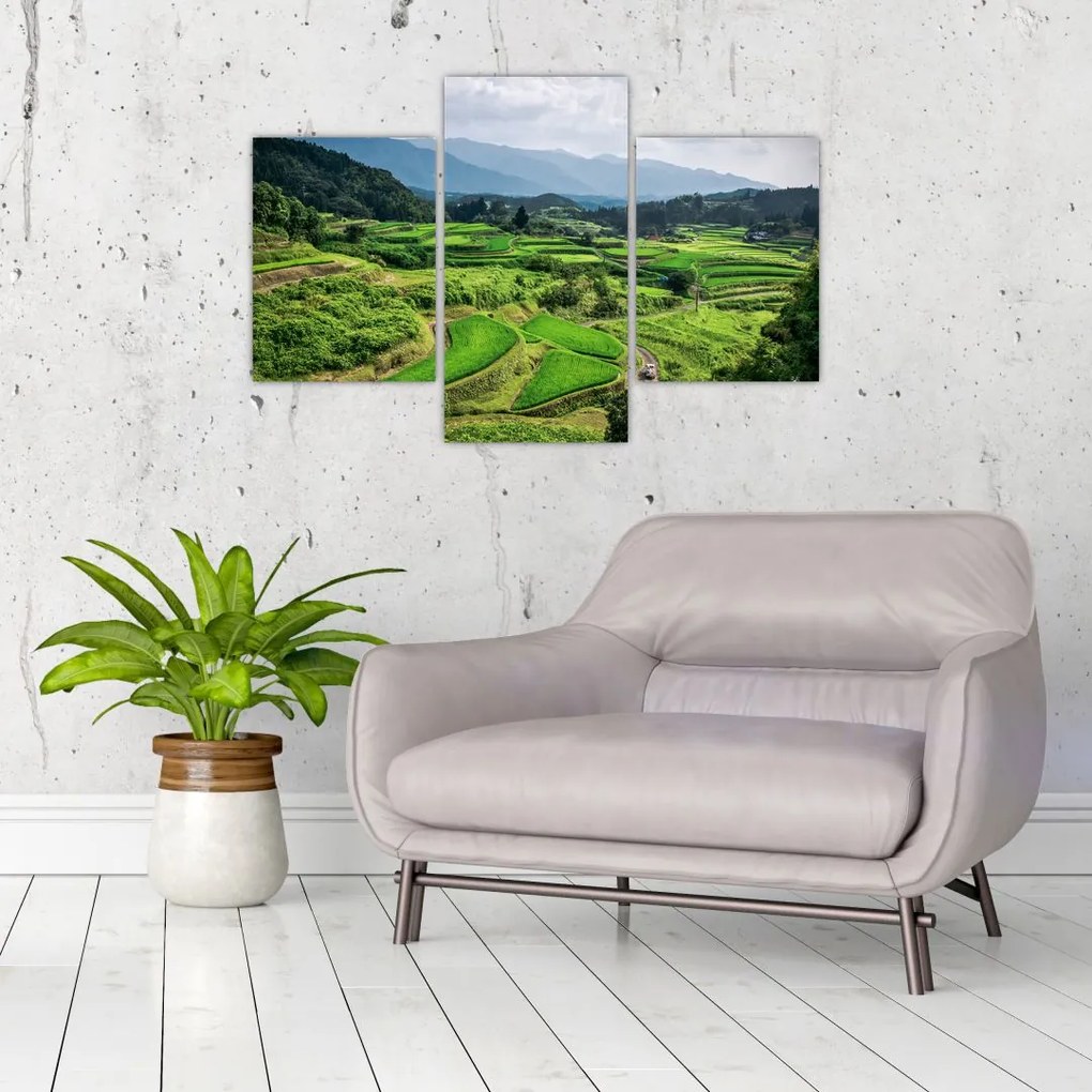 Tablou cu câmp de orez (90x60 cm)