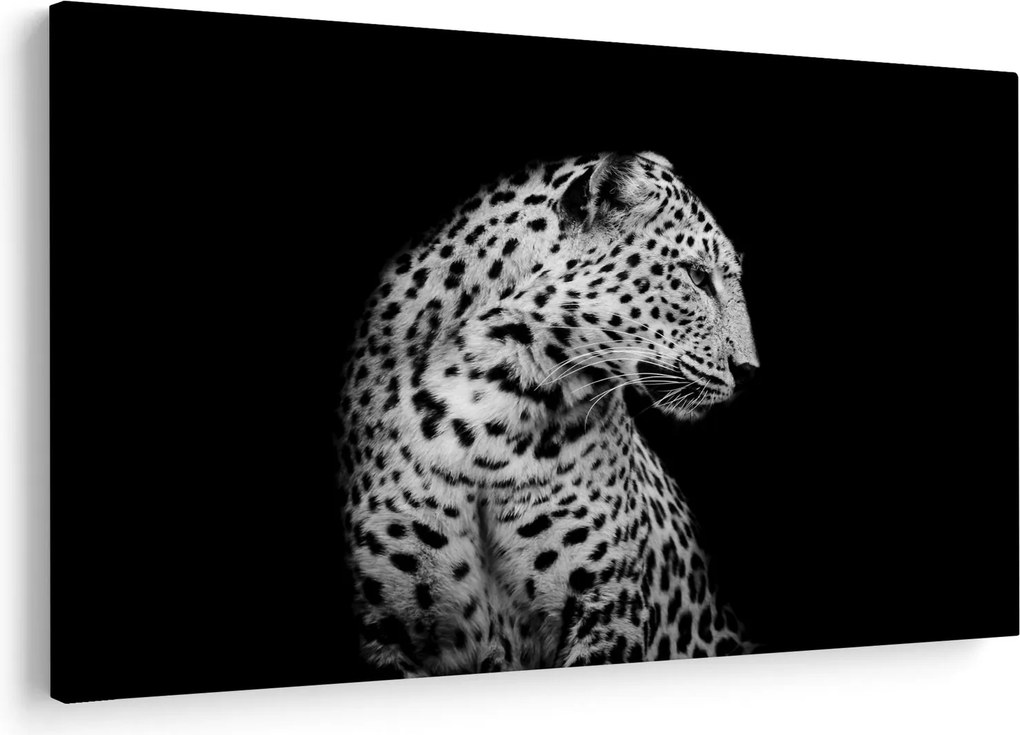 Tablou - Leopardul (90x60 cm)