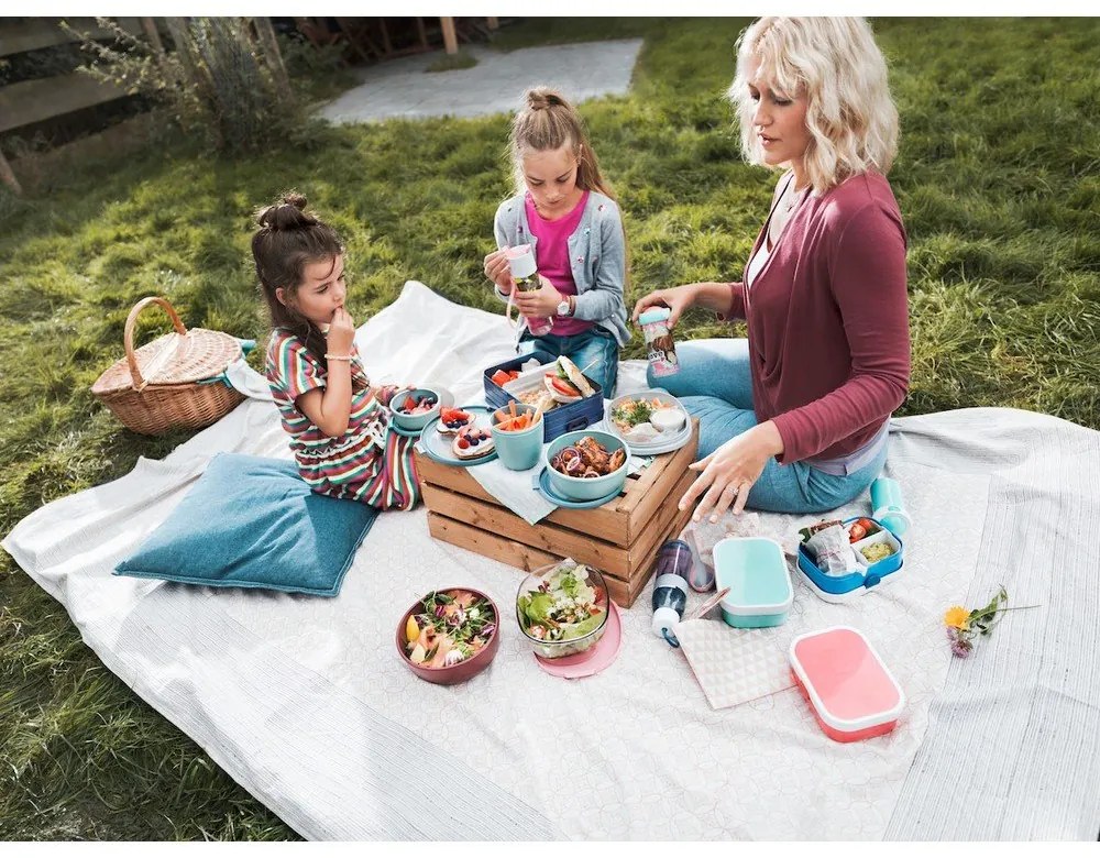 Cutie de gustări pentru copii Mepal Animal Friends