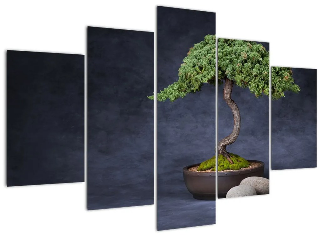 Tablou - Bonsai (150x105 cm)