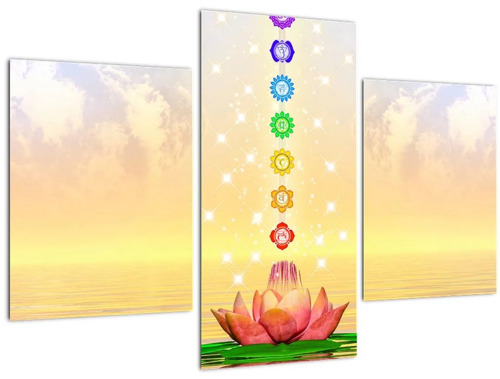 Tablou - Chakrele (90x60 cm)