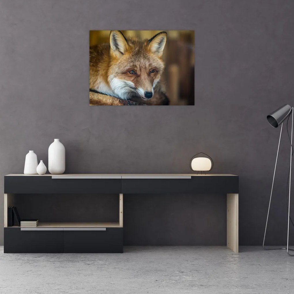 Tablou cu vulpe (70x50 cm)