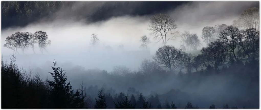 Tablou cu ceță deasupra pădurii (120x50 cm)