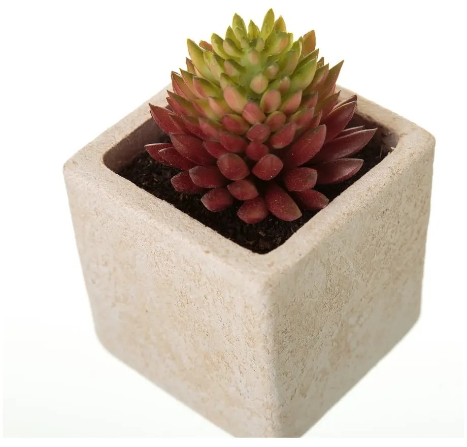 Set 6 flori artificiale Casa Selección Cactus