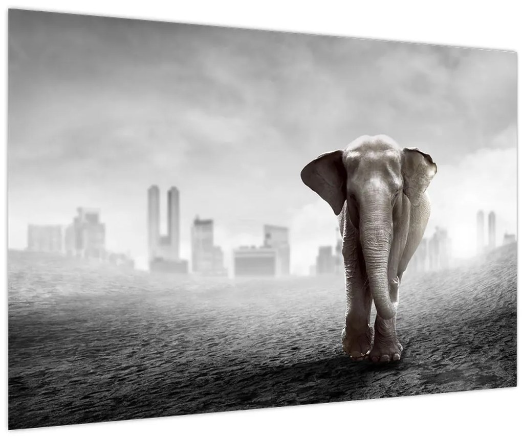 Tablou - Elefanți în oraș, versiunea alb-negru (90x60 cm)