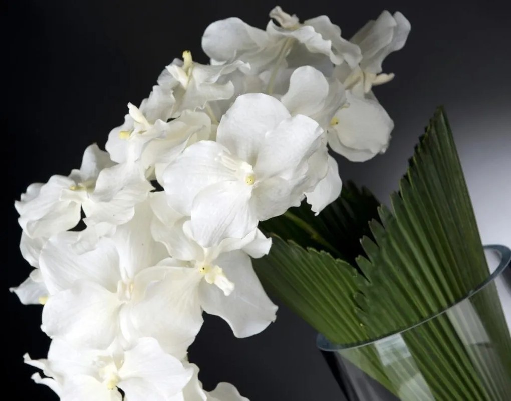 Aranjament floral elegant ORCHID PALMITOS 1141366.95