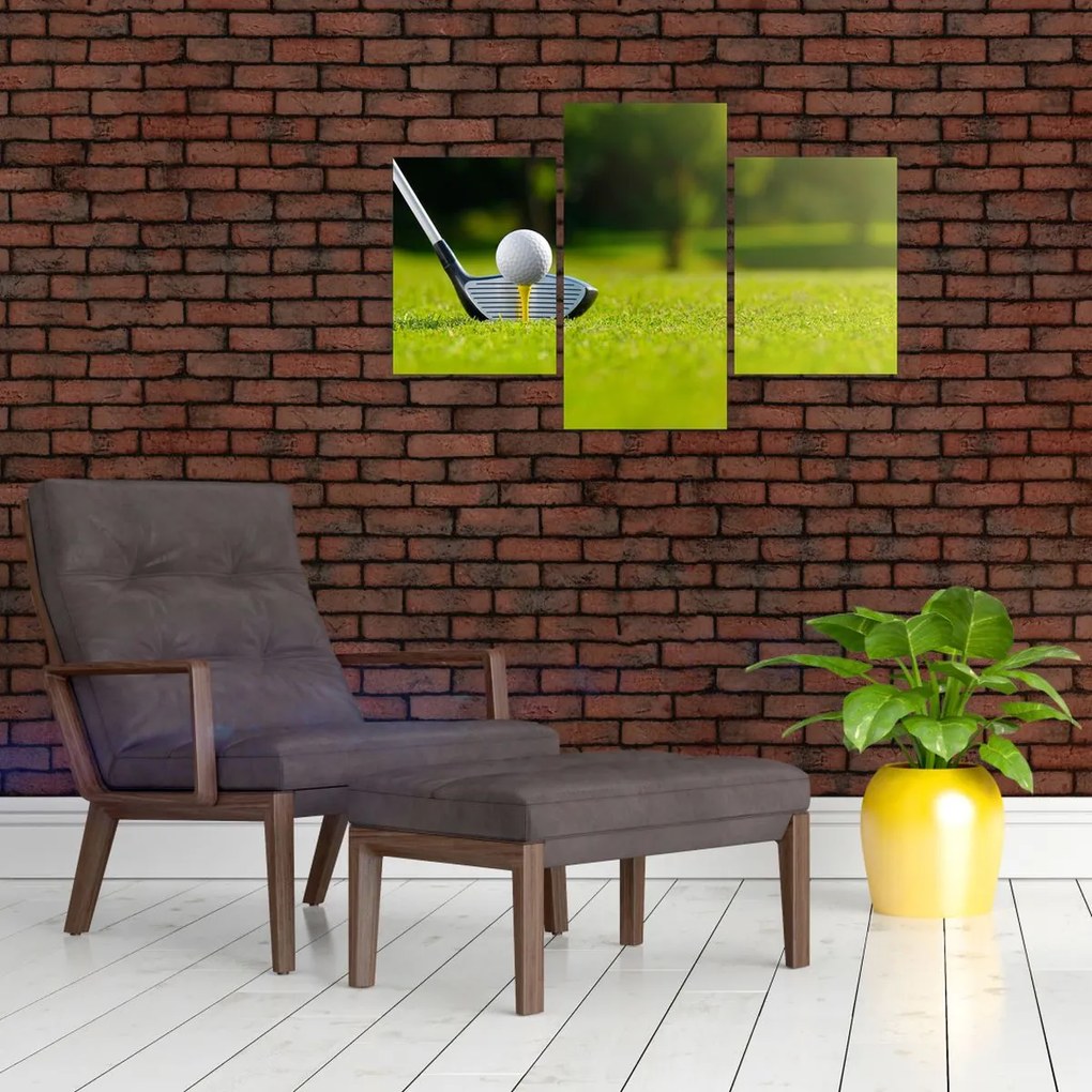 Tablou - Golf (90x60 cm)