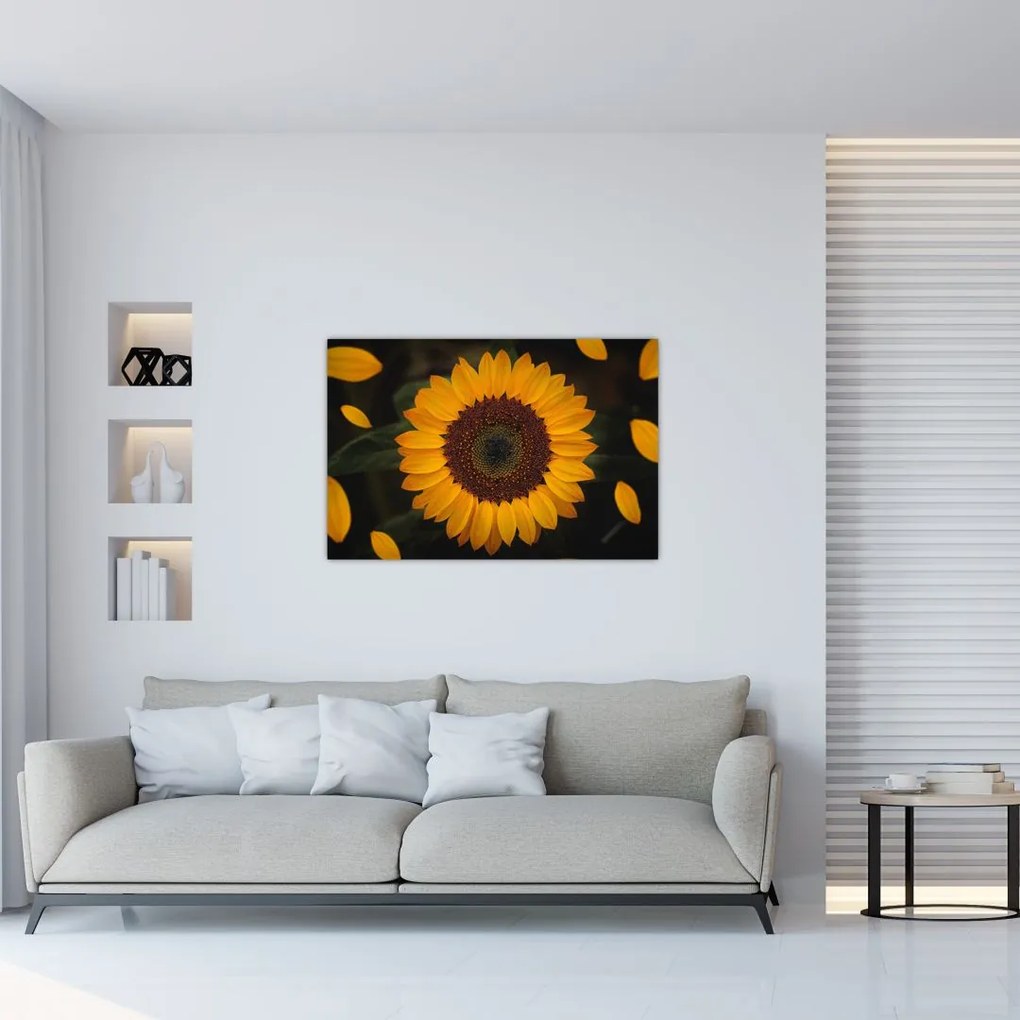 Tablou - Floarea soarelui și petale (90x60 cm)
