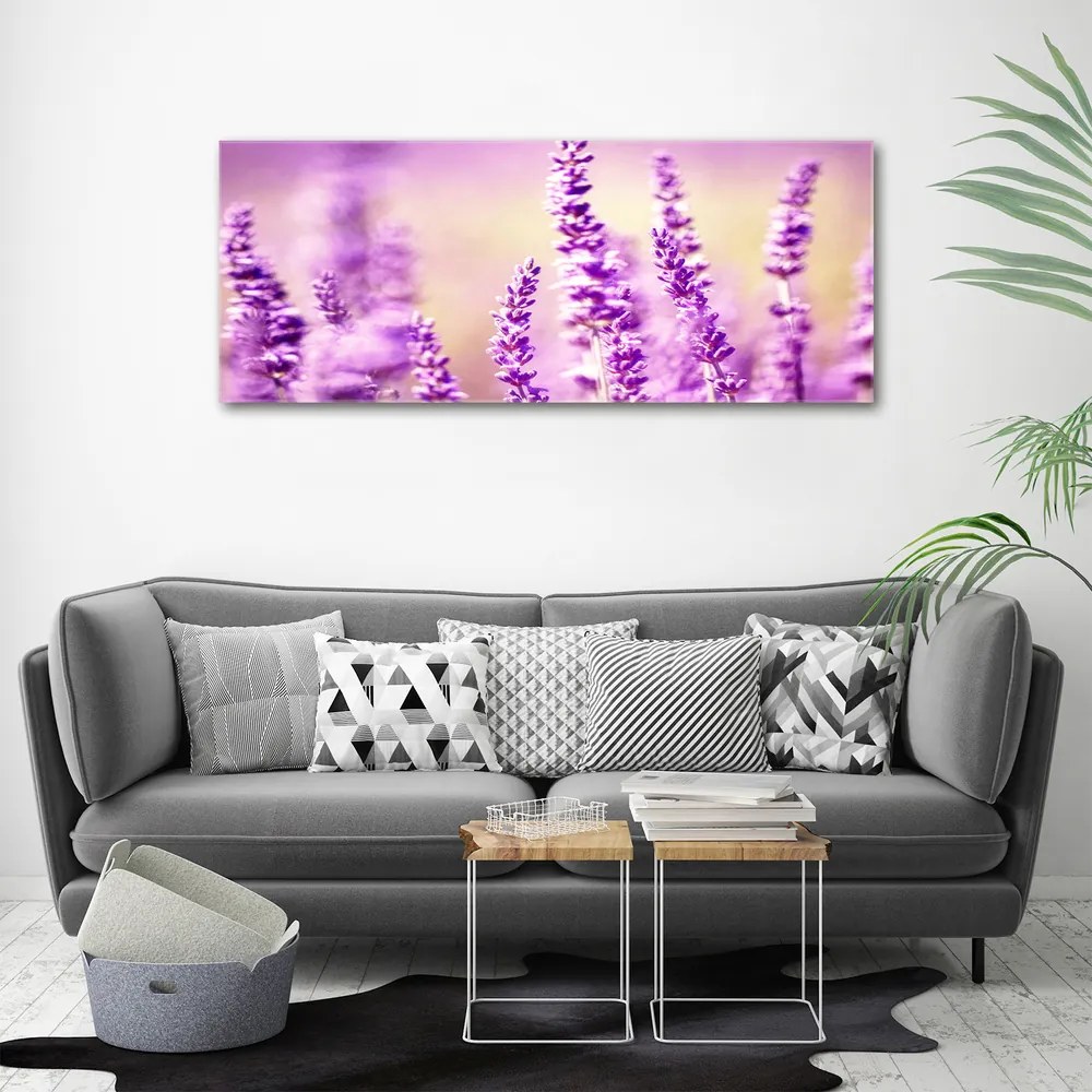 Tablou pe pânză canvas Lavandă