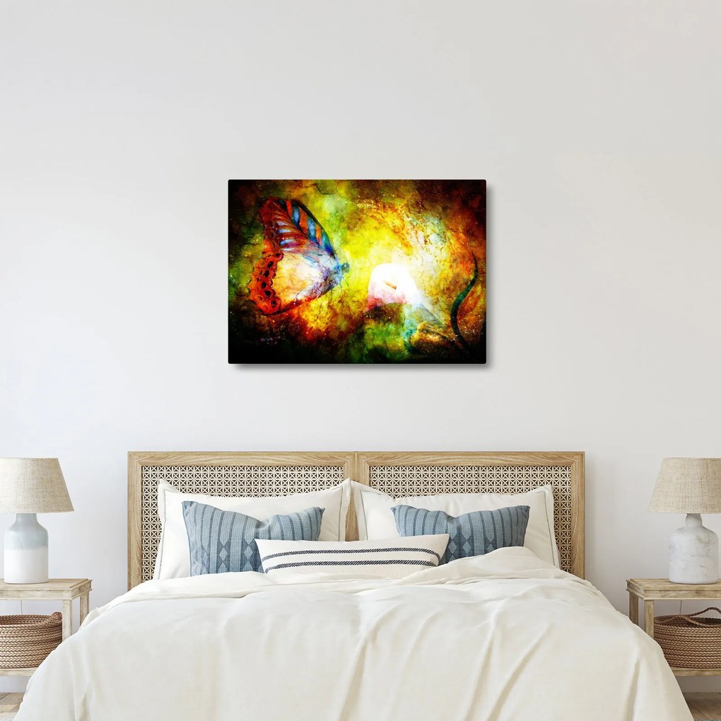 Tablou - Fluture spațial (70x50 cm)