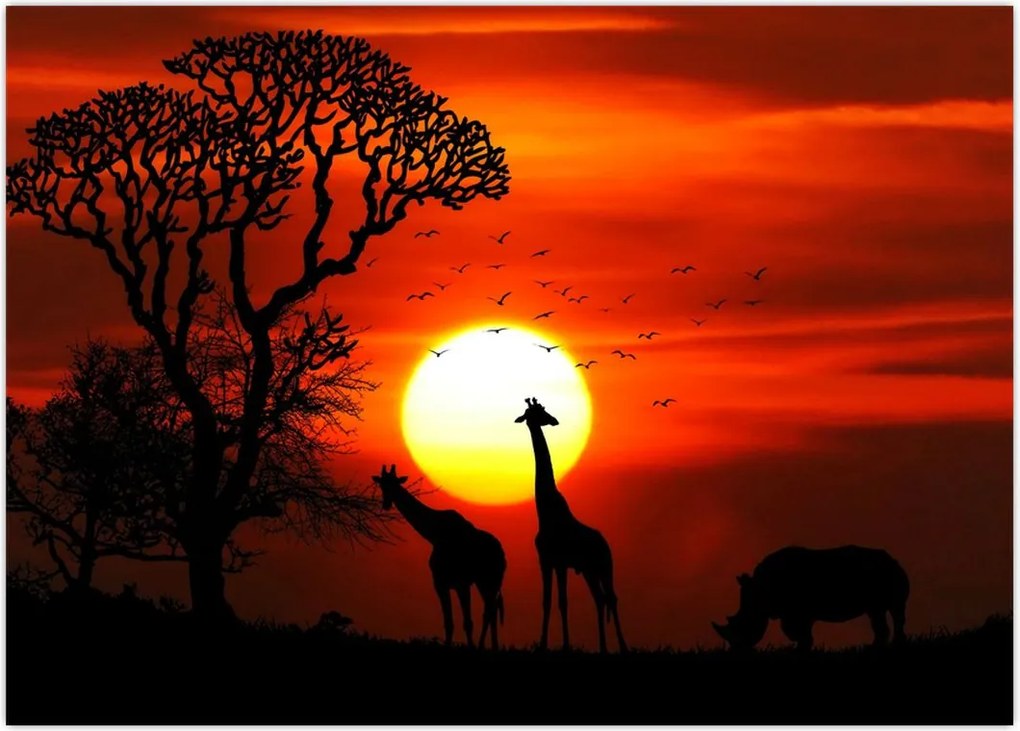 Tablou - Siluete animalelor la apus de soare (70x50 cm)