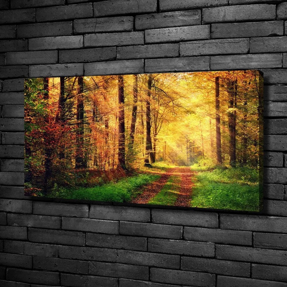 Pictură pe pânză Pădure în toamna