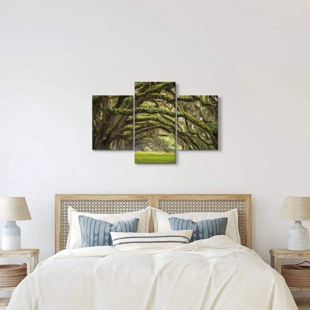 Tablou - Oaks Avenue, Charleston, Carolina de Sud, SUA (90x60 cm)
