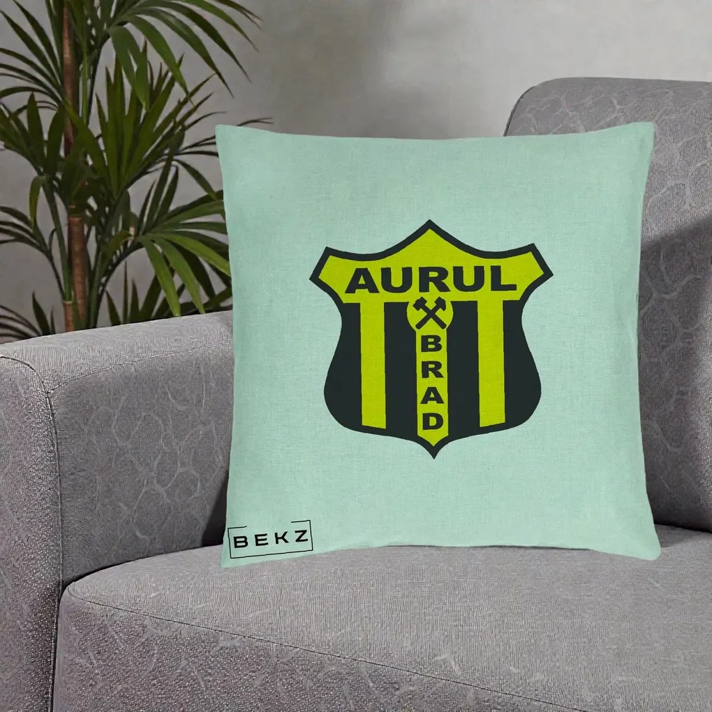 Perna Personalizata Aurul Brad Fotbal, 40x40 cm, Verde Menta, Husa Detasabila, Perna Inclusa, BEKZ®