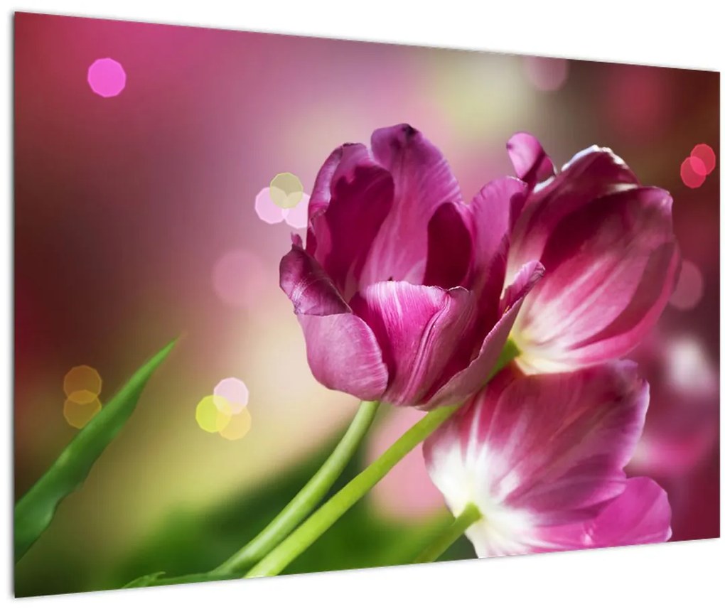 Tablou cu lalele roz (90x60 cm)