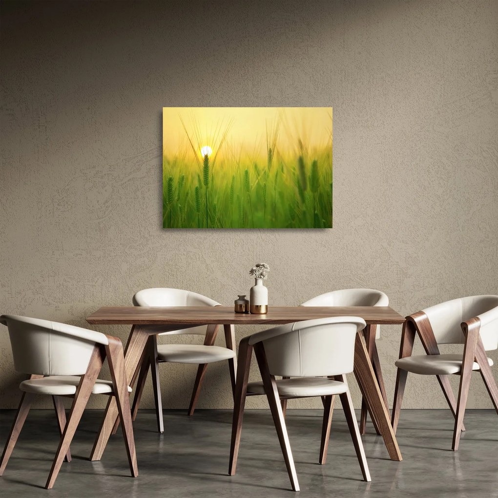 Tablou pe sticlă - Câmp cu cereale (70x50 cm)
