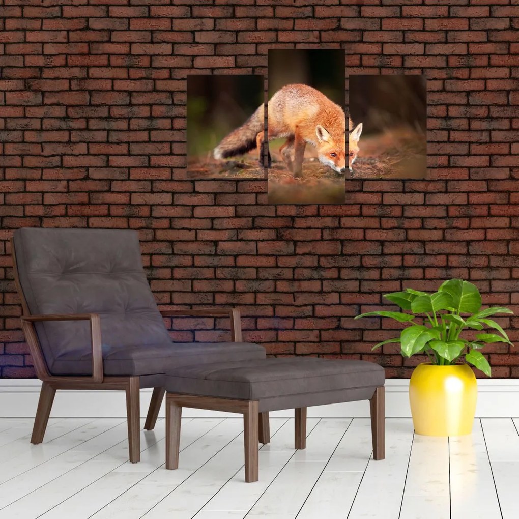 Tablou - Vulpe in pădure (90x60 cm)