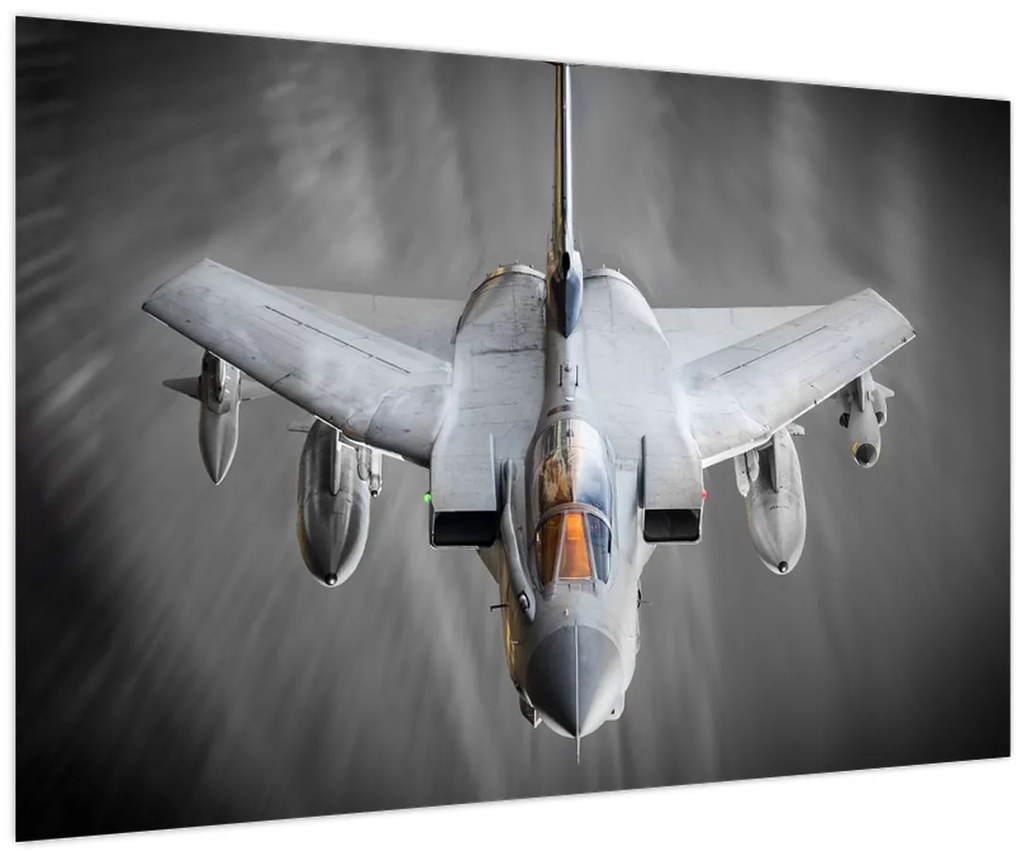 Tablou - Avion de vânătoare (90x60 cm)