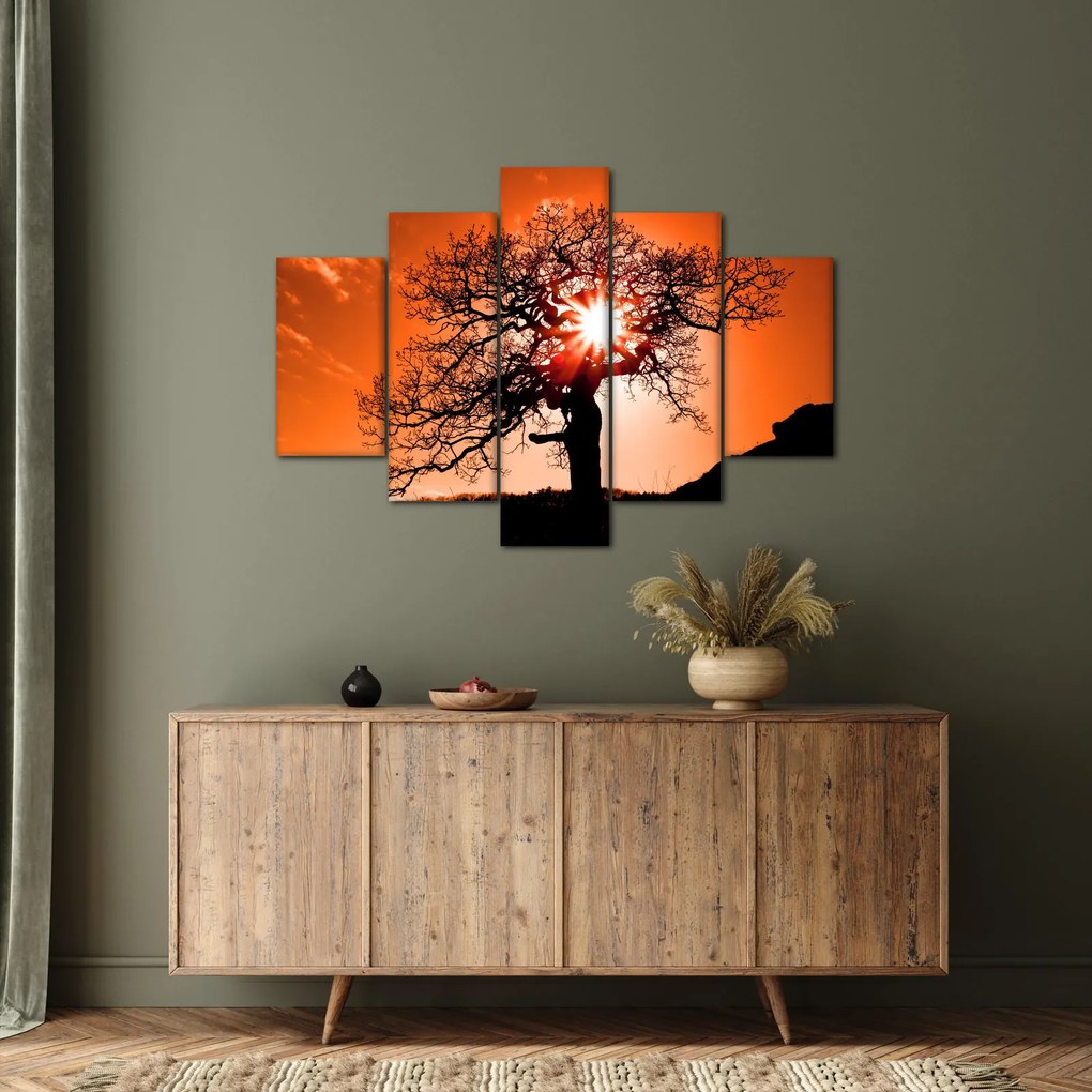 Tablou - Fag la apus de soare (150x105 cm)