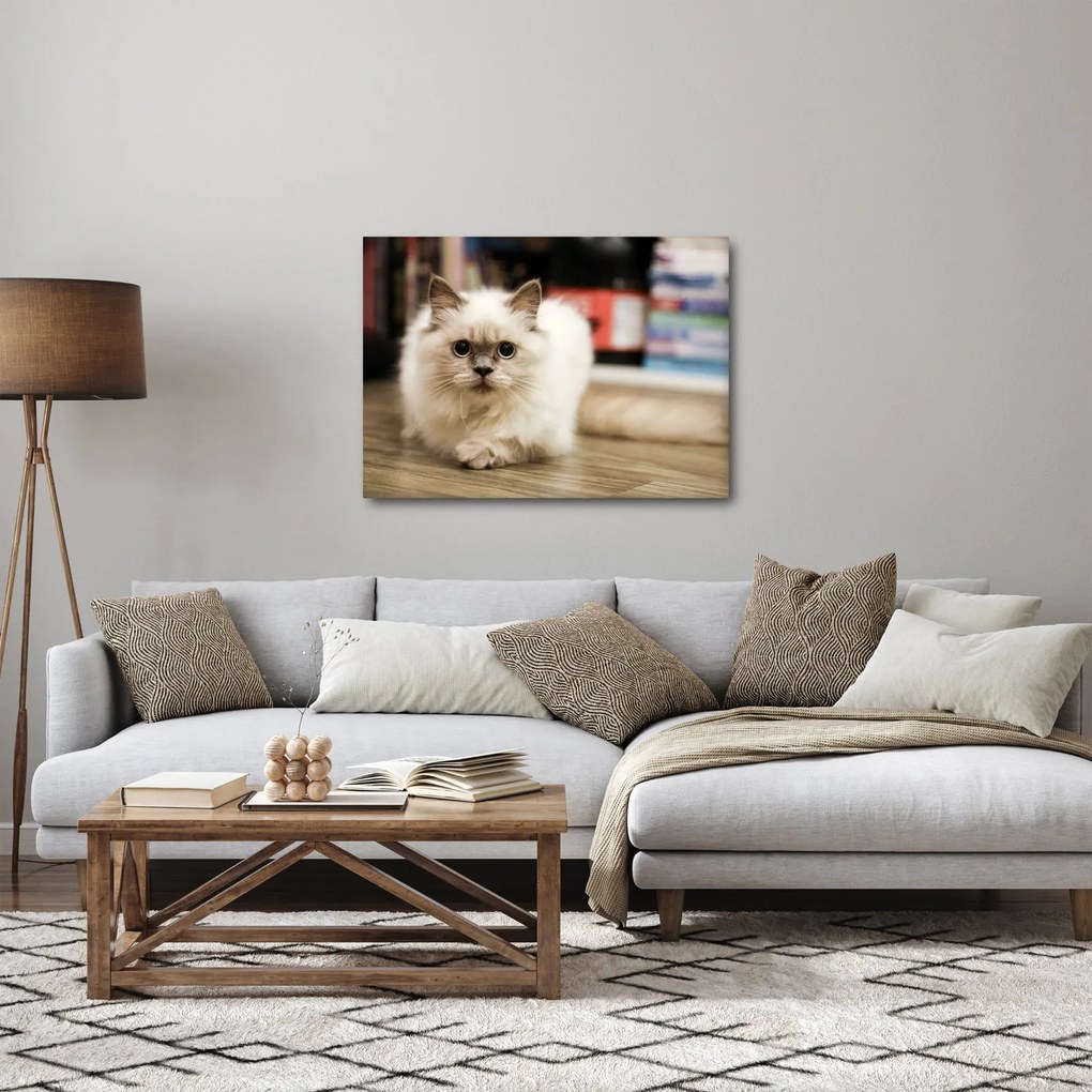 Tablou cu pisica albăr (70x50 cm)