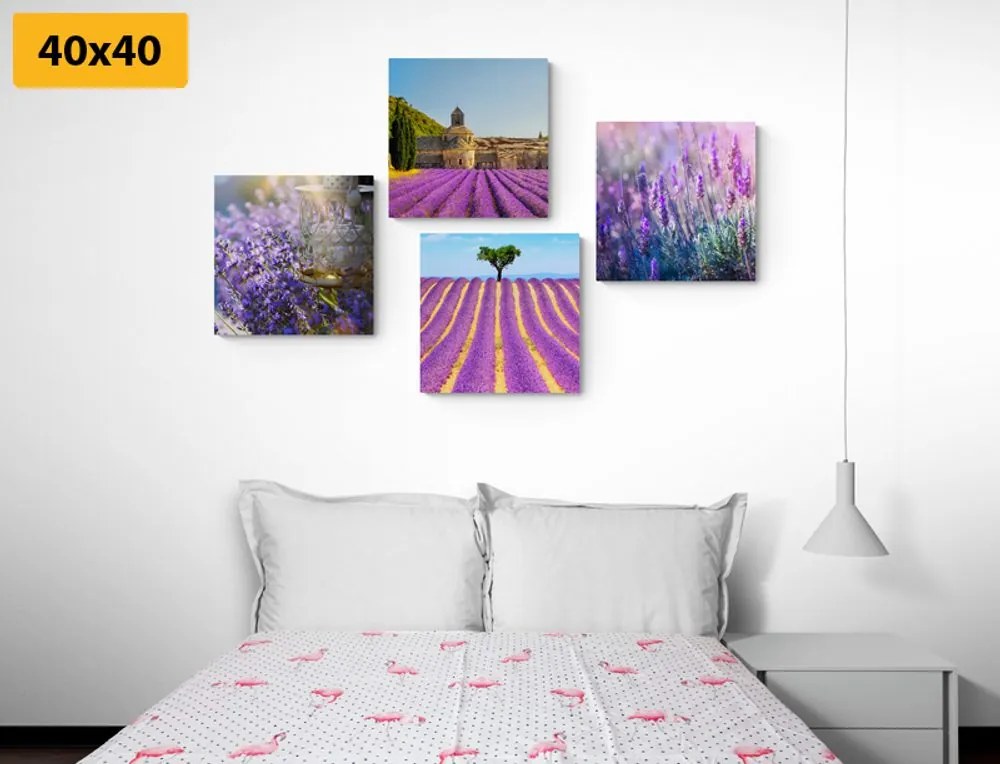 Set tablouri bogăția de lavandă