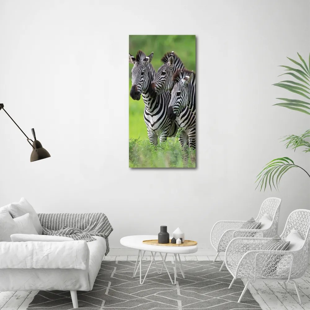 Tablou Printat Pe Sticlă trei zebre