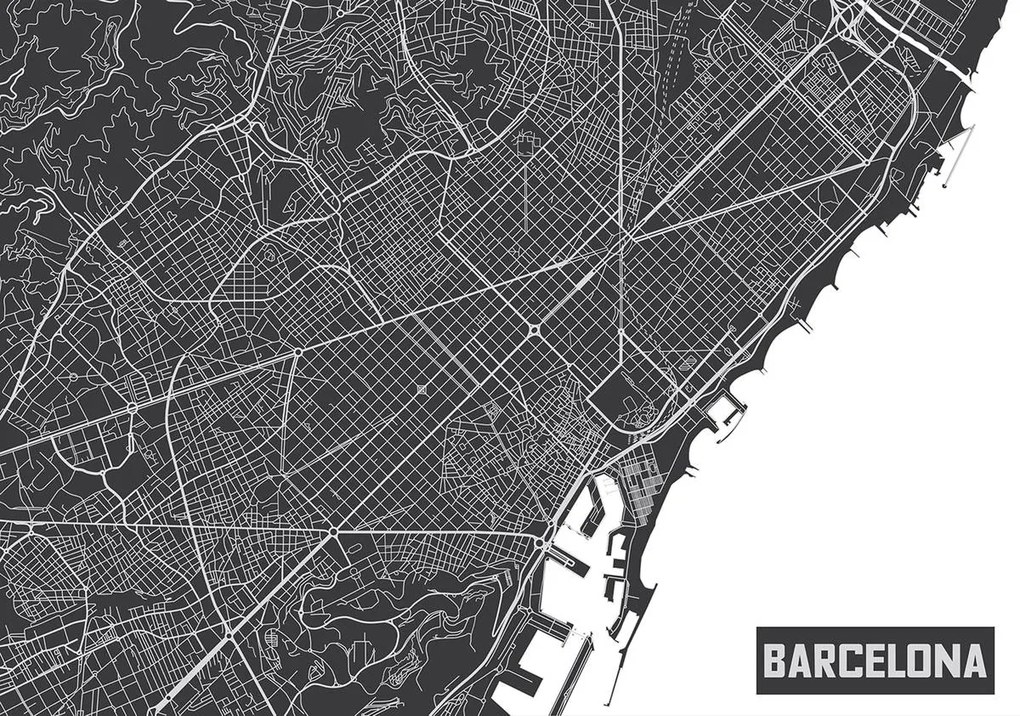 Fototapet - Harta Barcelonei (254x184 cm)