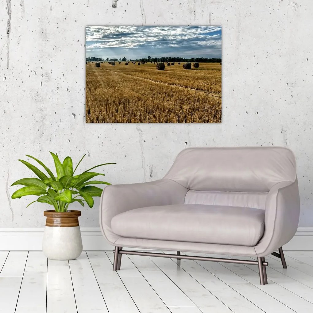 Tablou cu câmp recoltat (70x50 cm)