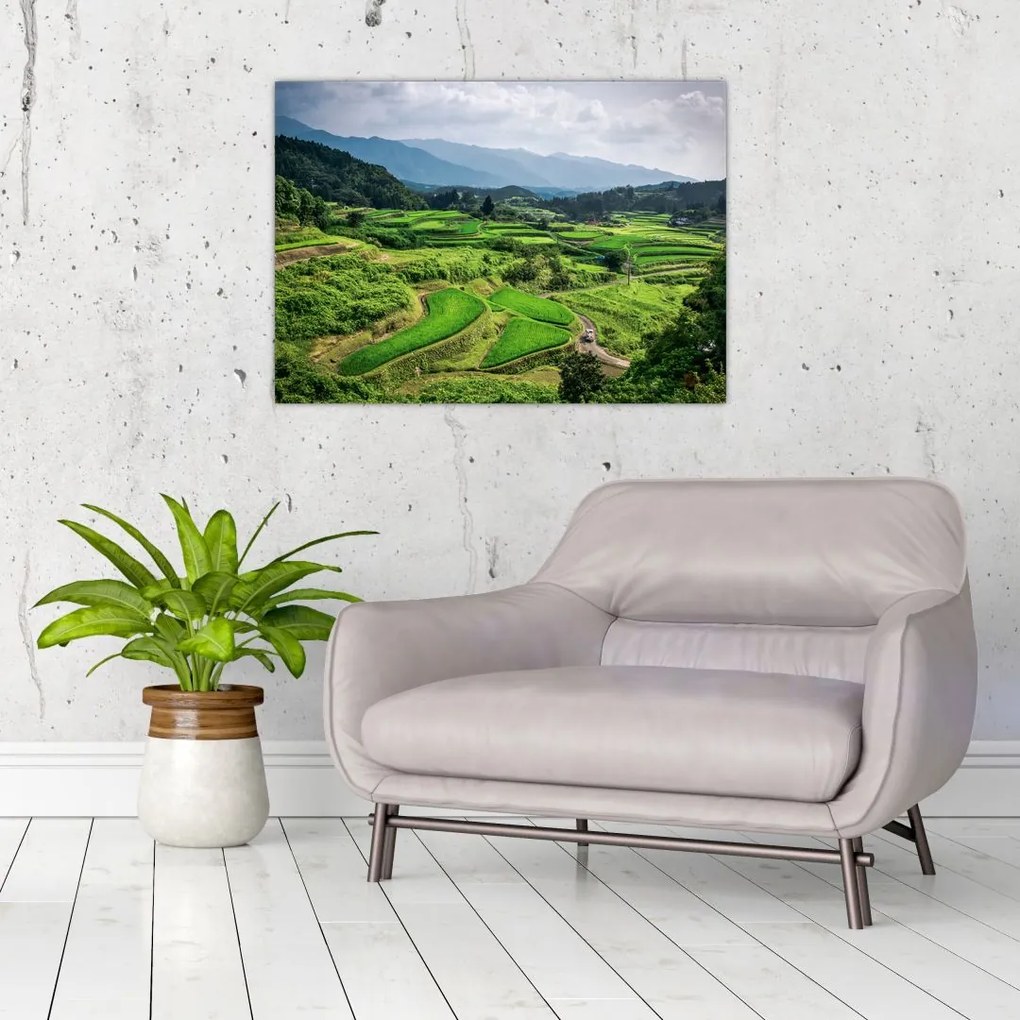 Tablou pe sticlă cu câmp de orez (70x50 cm)