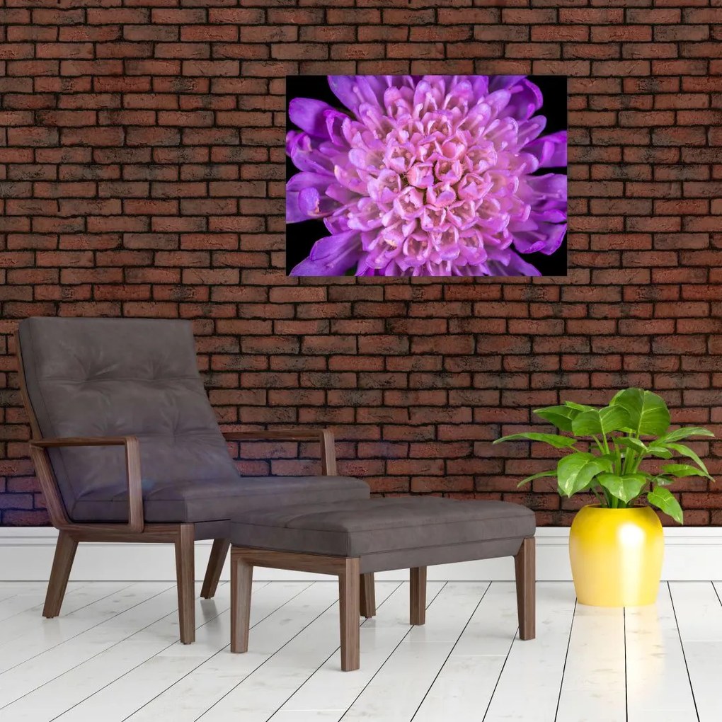 Tablou detailat cu floare (70x50 cm)