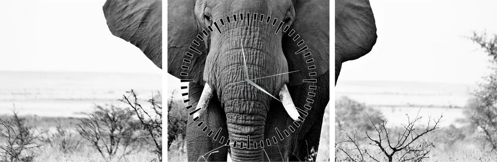 Tablou - Elefantul african II. (cu ceas) (90x30 cm)