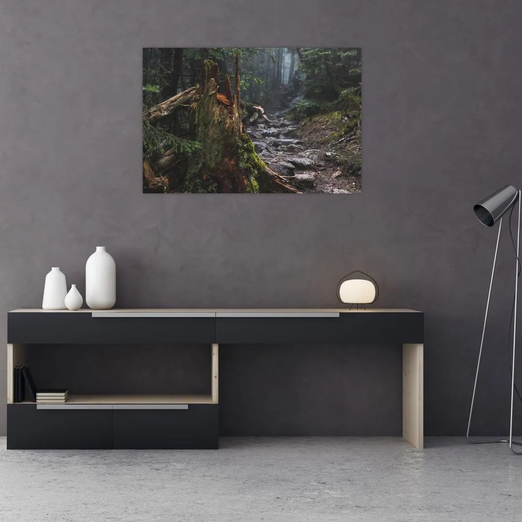 Tablou - În pădure (90x60 cm)